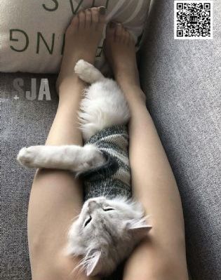 欧美官网_高清电影