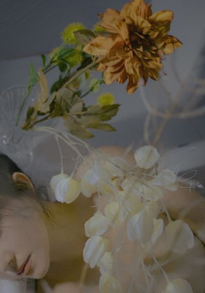 性欧美4k_DVD在线视频播放